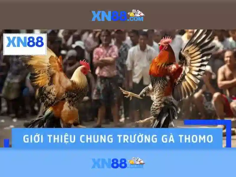 Sản phẩm và dịch vụ cốt lõi: ứng dụng thực tiễn của xn88 .com