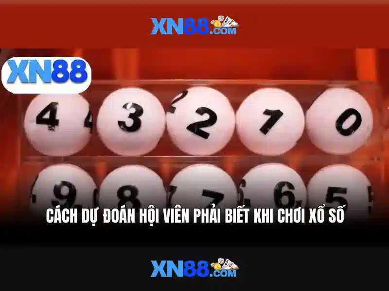 xn88 - Nền tảng cá cược trực tuyến nổi bật 1 Đăng Nhập