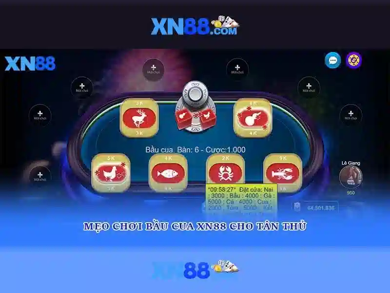 Xn88 là gì?