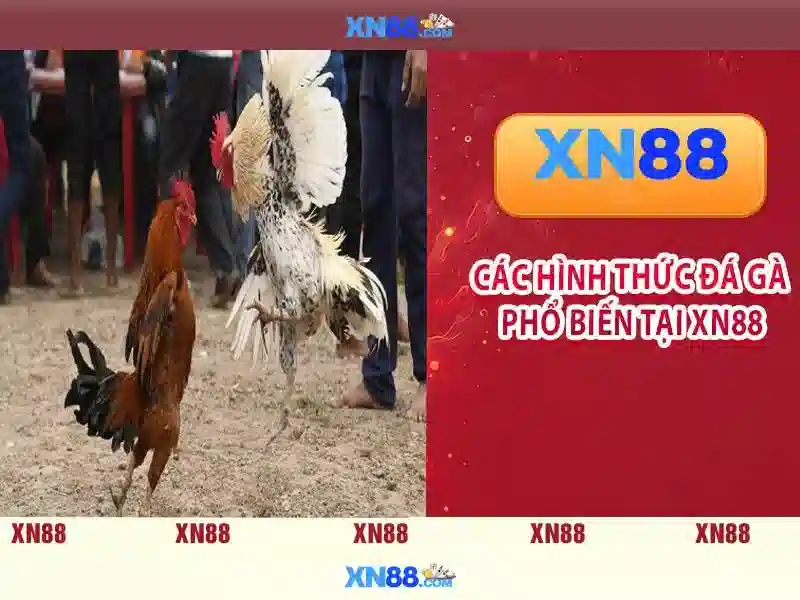 Hướng dẫn tham gia