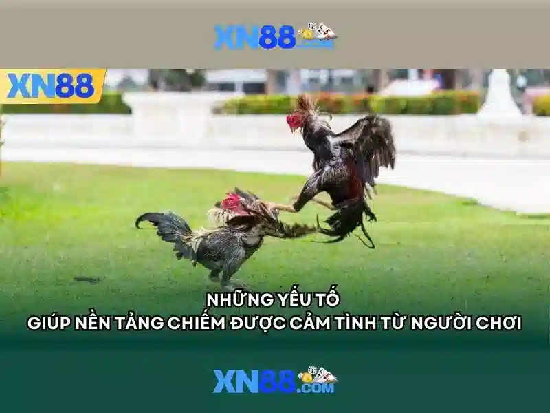 xn88 là gì và tại sao nó nổi bật 1 Đăng Nhập