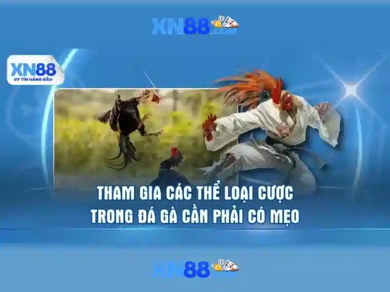 Độ tin cậy và an toàn Độ tin cậy và an toàn