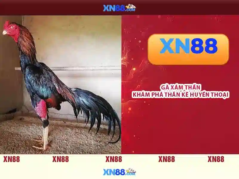 xn88 dang nhap – Tổng quan, trải nghiệm và đánh giá 1 Đăng Nhập