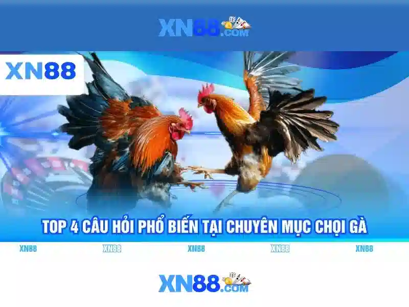 xn88 – một cái nhìn tổng quan Go88