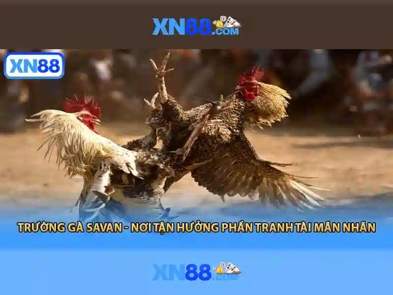 Nền tảng và dịch vụ\n\n<h2>An toàn và bảo mật</h2>\n<p>Nền tảng cam kết bảo vệ dữ liệu người dùng bằng các chuẩn mã hóa, xác thực người dùng và các biện pháp chống gian lận. Người chơi nên thiết lập mật khẩu mạnh, bật xác thực hai yếu tố và tuân thủ luật pháp địa phương khi tham gia.</p>\n\n<h3>Hướng dẫn tham gia</h3>\n<p>Để bắt đầu với xn88, người dùng chỉ cần đăng ký tài khoản, xác thực danh tính nếu yêu cầu và nạp tiền vào ví điện tử hoặc thẻ. Sau khi nạp tiền, người dùng có thể chọn trò chơi hoặc sự kiện thể thao để đặt cược hoặc chơi miễn phí ở chế độ Demo nếu có.</p> Nền tảng và dịch vụ\n\n<h2>An toàn và bảo mật</h2>\n<p>Nền tảng cam kết bảo vệ dữ liệu người dùng bằng các chuẩn mã hóa, xác thực người dùng và các biện pháp chống gian lận. Người chơi nên thiết lập mật khẩu mạnh, bật xác thực hai yếu tố và tuân thủ luật pháp địa phương khi tham gia.</p>\n\n<h3>Hướng dẫn tham gia</h3>\n<p>Để bắt đầu với xn88, người dùng chỉ cần đăng ký tài khoản, xác thực danh tính nếu yêu cầu và nạp tiền vào ví điện tử hoặc thẻ. Sau khi nạp tiền, người dùng có thể chọn trò chơi hoặc sự kiện thể thao để đặt cược hoặc chơi miễn phí ở chế độ Demo nếu có.</p>