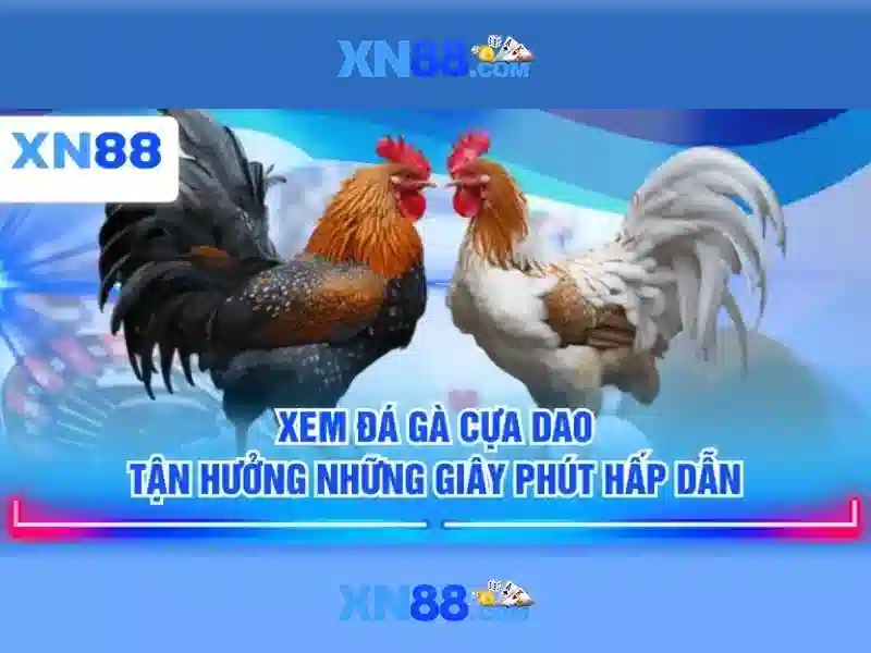 An toàn và pháp lý\n<h>Hướng dẫn sử dụng và hỗ trợ</h>\n<p>Để bắt đầu, người dùng cần tạo tài khoản, xác thực danh tính và liên kết phương thức thanh toán. Quá trình nạp tiền và rút tiền được thiết kế an toàn và nhanh chóng tùy theo mức độ xác thực.</p>\n<p>Nếu gặp vấn đề, đội ngũ hỗ trợ của xn88 sẵn sàng trả lời qua chat trực tuyến, email hoặc phần hỏi đáp. Bạn cũng có thể tham khảo các câu hỏi thường gặp để tìm giải pháp nhanh chóng.</p> An toàn và pháp lý\n<h>Hướng dẫn sử dụng và hỗ trợ</h>\n<p>Để bắt đầu, người dùng cần tạo tài khoản, xác thực danh tính và liên kết phương thức thanh toán. Quá trình nạp tiền và rút tiền được thiết kế an toàn và nhanh chóng tùy theo mức độ xác thực.</p>\n<p>Nếu gặp vấn đề, đội ngũ hỗ trợ của xn88 sẵn sàng trả lời qua chat trực tuyến, email hoặc phần hỏi đáp. Bạn cũng có thể tham khảo các câu hỏi thường gặp để tìm giải pháp nhanh chóng.</p>