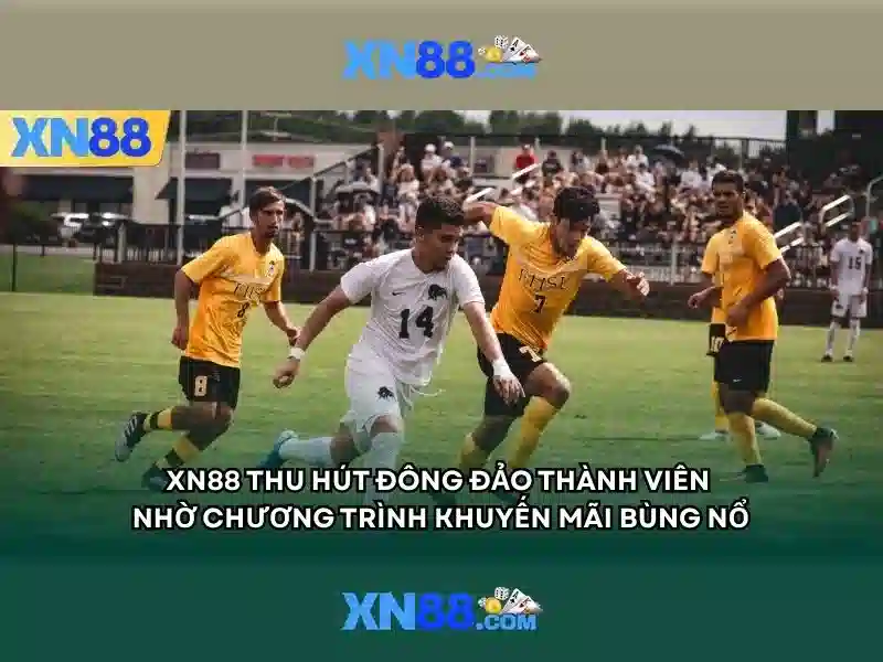 Trải nghiệm người dùng và triển khai