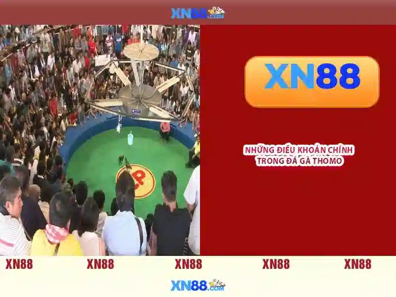 Tổng kết và Lời mời trải nghiệm của xn88 sa.com Tổng kết và Lời mời trải nghiệm của xn88 sa.com