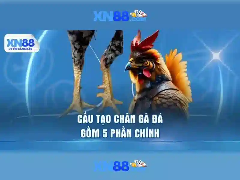 xn88: Nền tảng trò chơi và cá cược trực tuyến tin cậy Go88