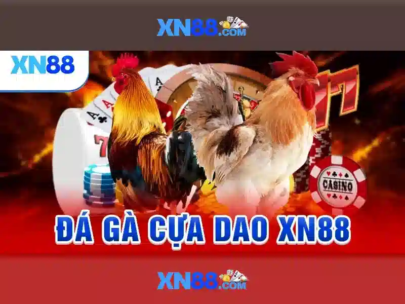 xn88: Tổng quan và hướng dẫn chơi 1 Đăng Nhập