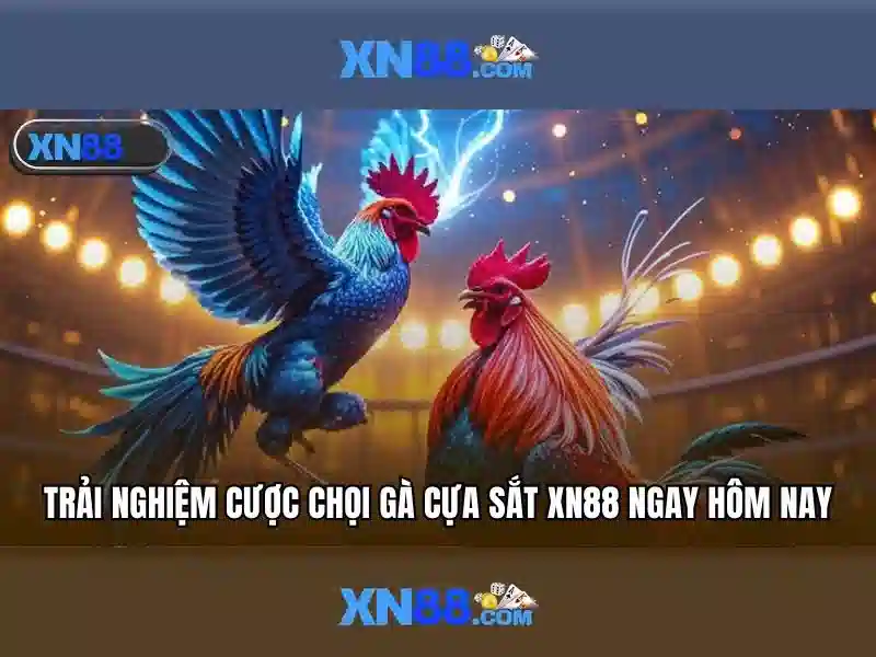 Trang xn88 – Sản phẩm và dịch vụ