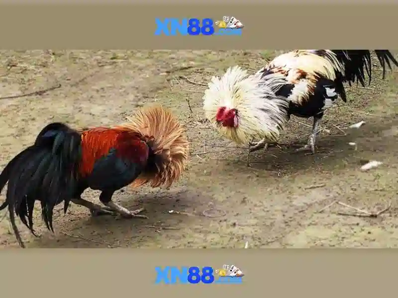 Đăng Nhập
