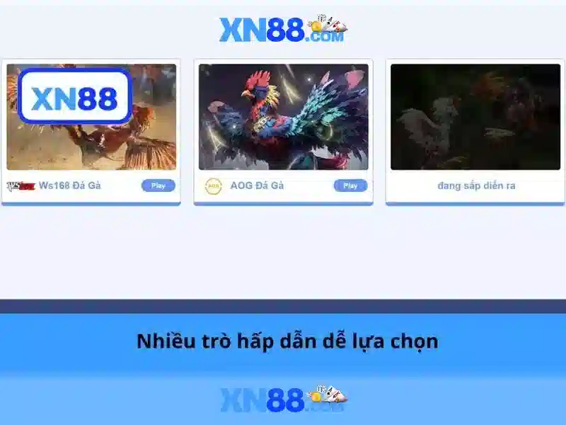 Lịch sử và nguồn gốc của xn88