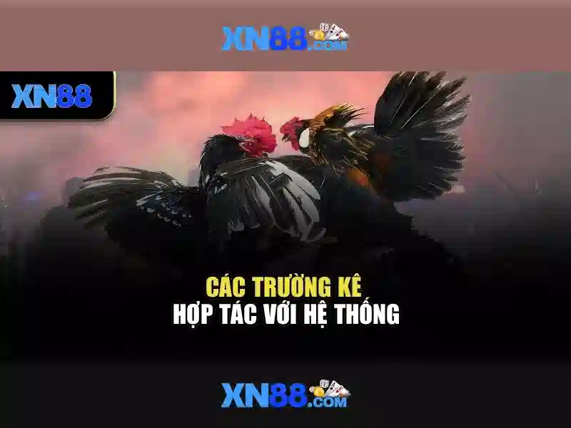 Xn88: Nền tảng giải trí trực tuyến và những điều cần biết Go88