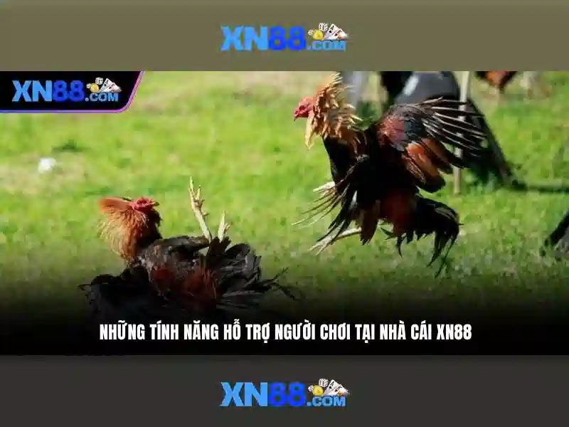 Đặc điểm nổi bật của xn88\n<h2>Cách đăng ký và an toàn tài khoản</h2>\n<p>Quy trình đăng ký nhanh chóng, xác minh danh tính bảo mật và các biện pháp bảo vệ thông tin người dùng. xn88 cam kết tuân thủ các chuẩn pháp lý và quy định về trò chơi trực tuyến.</p>\n<h2>Trò chơi và trải nghiệm</h2>\n<p>Danh mục trò chơi phong phú gồm slot, baccarat, blackjack và casino trực tuyến, cùng với các chương trình khuyến mãi hấp dẫn và dịch vụ hỗ trợ 24/7.</p>