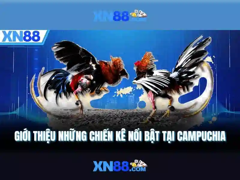 xn88: Tổng quan và hướng dẫn an toàn 1 Đăng Nhập