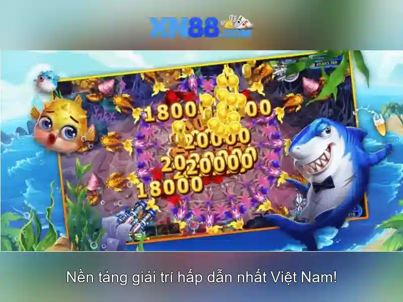 Kết luận