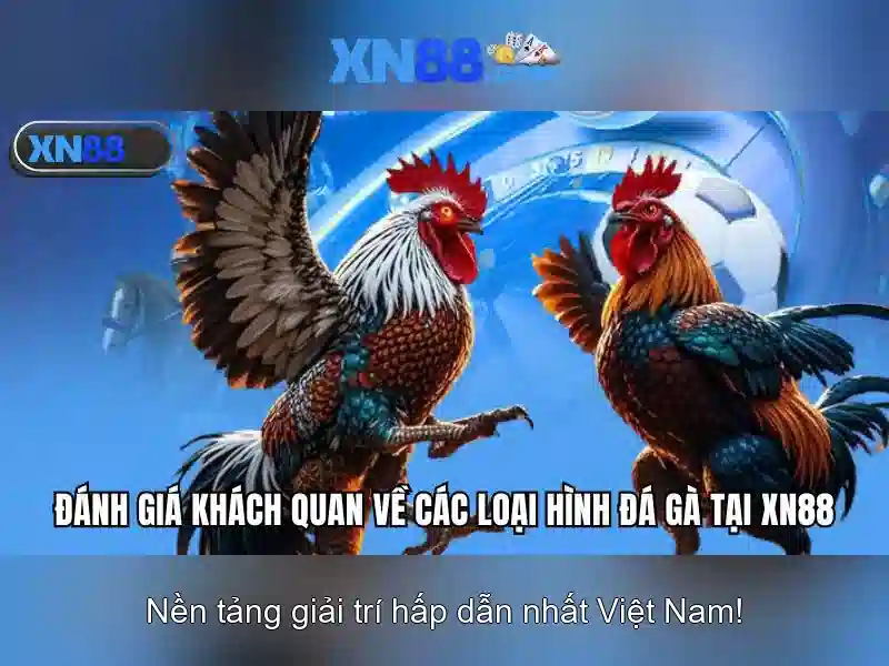 Tổng quan về xn88