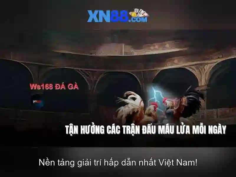 xn88: Khám phá nền tảng chơi game trực tuyến an toàn và đáng tin cậy Go88