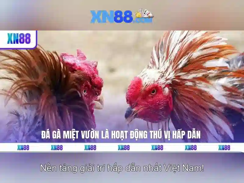 xn88 - Nen tang ca cuoc truc tuyen Go88