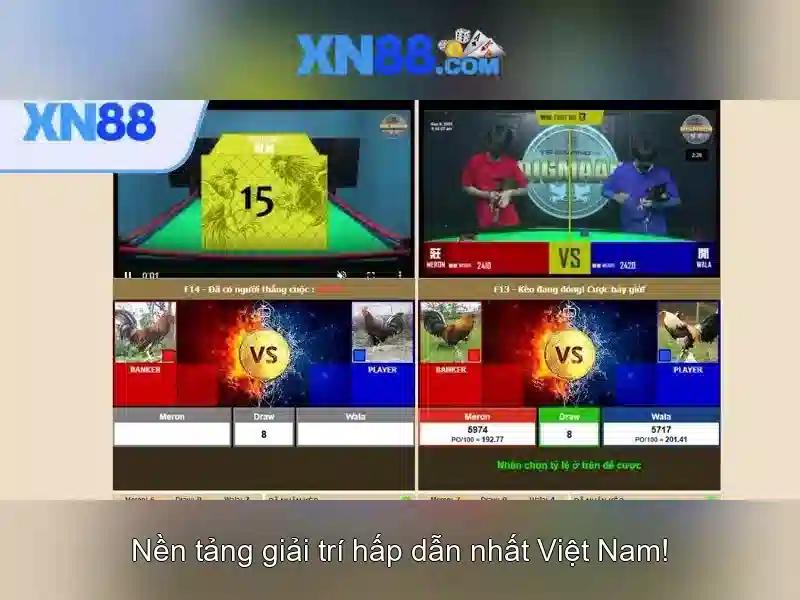 xn88: Khái niệm, hoạt động và ảnh hưởng trong cộng đồng chơi game trực tuyến Go88