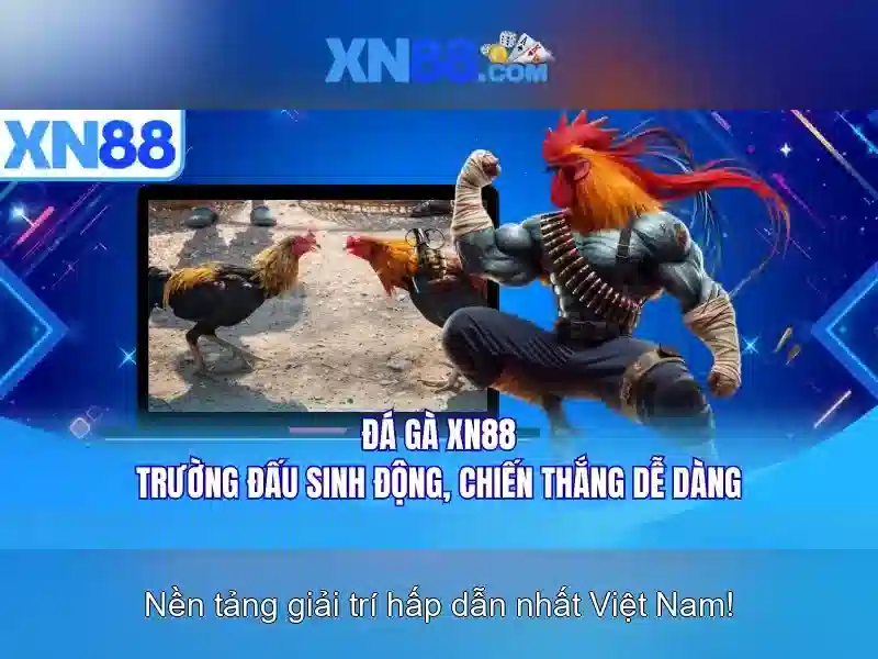Các loại trò chơi và tính năng Các loại trò chơi và tính năng