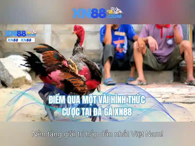 Đăng Nhập