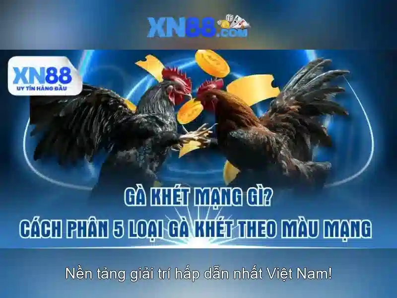 xn88 - Tổng quan về nền tảng đánh bạc trực tuyến 1 Đăng Nhập