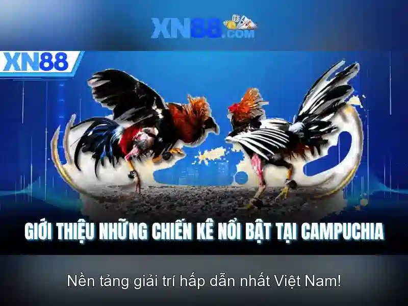 Khu vực hỗ trợ và pháp lý Khu vực hỗ trợ và pháp lý
