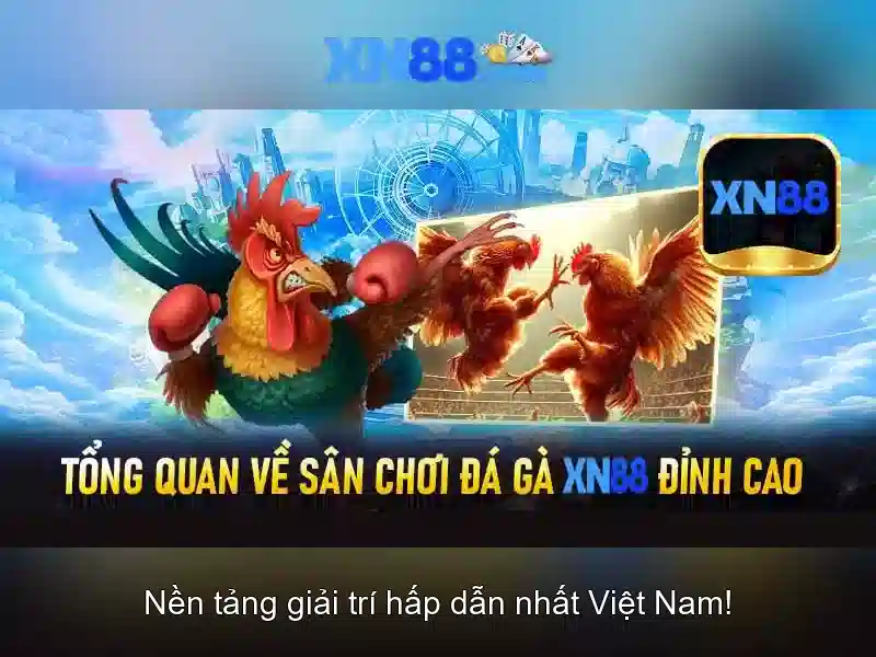 XN88 - Đánh giá tổng quan về nền tảng cá cược trực tuyến 1 Đăng Nhập