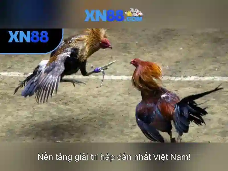Đăng Nhập