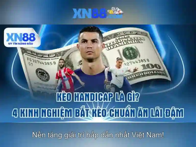 Các sản phẩm và ứng dụng của xn88 cacelem