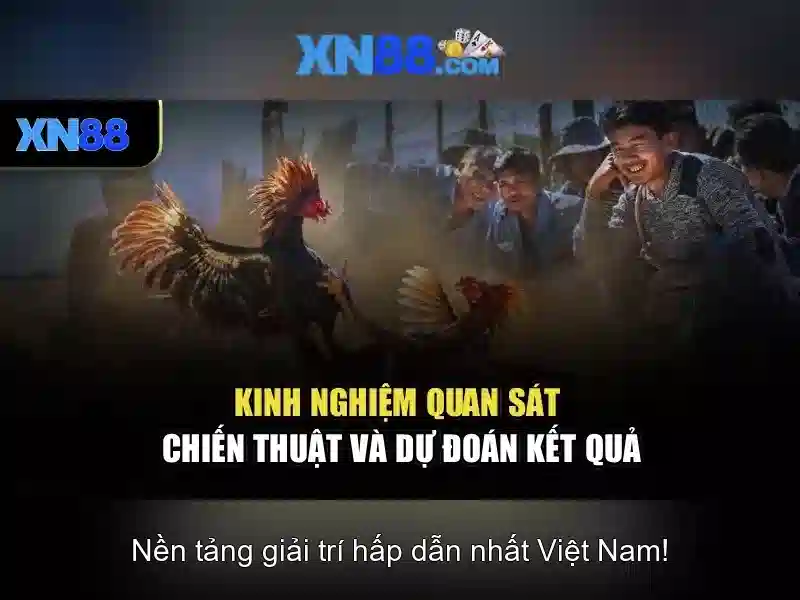 xn88 — Tổng quan về nền tảng cá cược trực tuyến Go88
