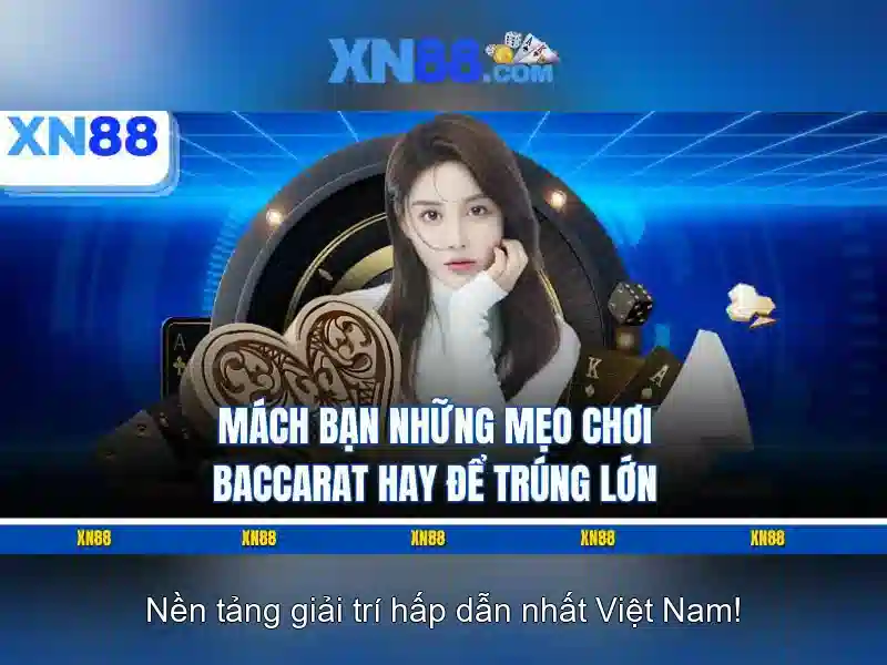 Giới thiệu về xn88