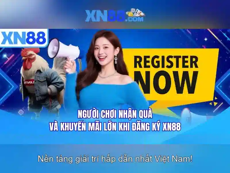 Trải nghiệm người dùng và phản hồi cộng đồng