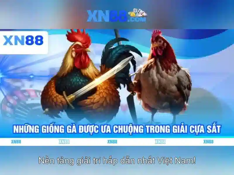 xn88 là gì và tại sao được chú ý 1 Đăng Nhập