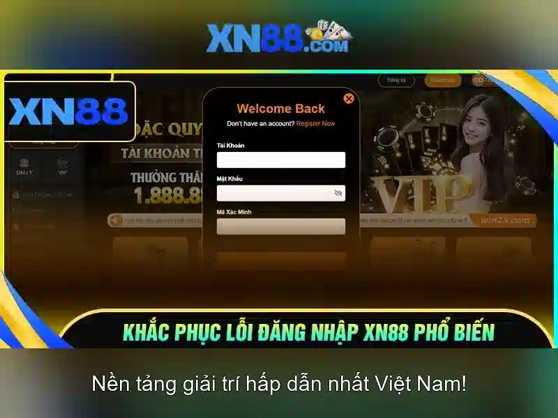 Dịch vụ khách hàng và hỗ trợ