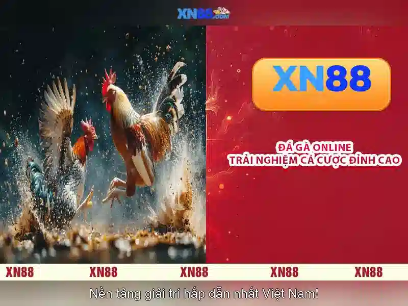 game xn88: Trải nghiệm và chiến lược dẫn đầu thị trường Go88