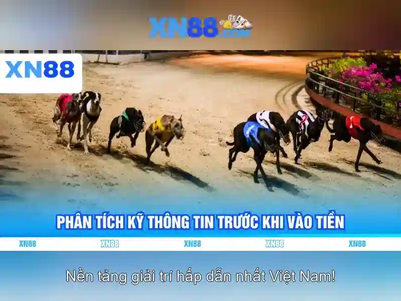 Hướng dẫn nạp và rút tiền Hướng dẫn nạp và rút tiền