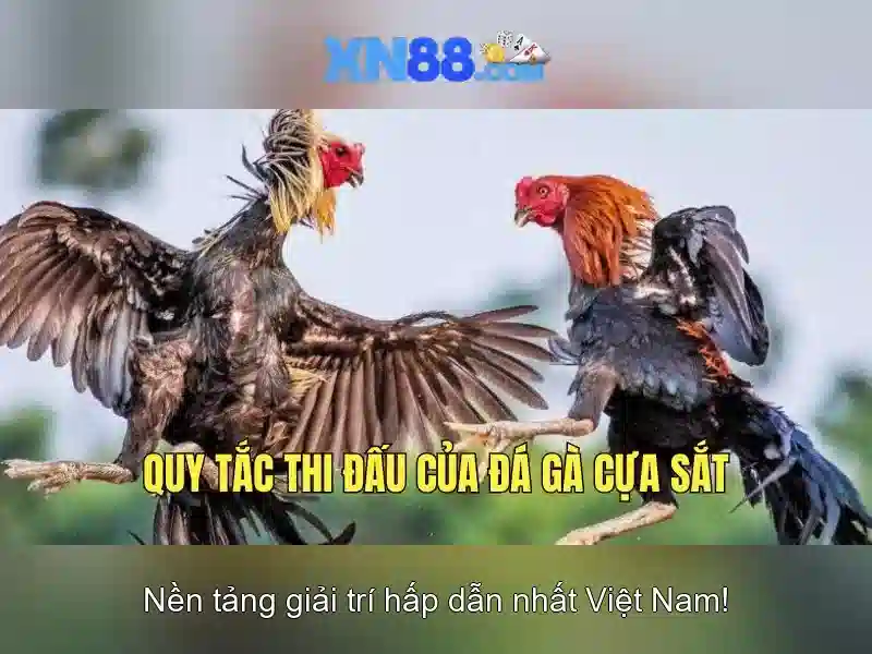 Đăng Nhập