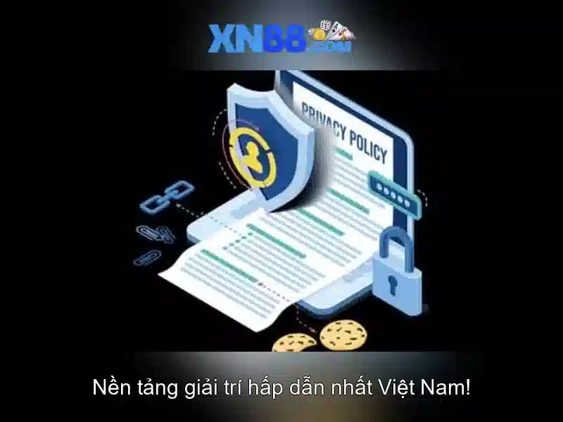 Trải nghiệm người dùng và phản hồi cộng đồng