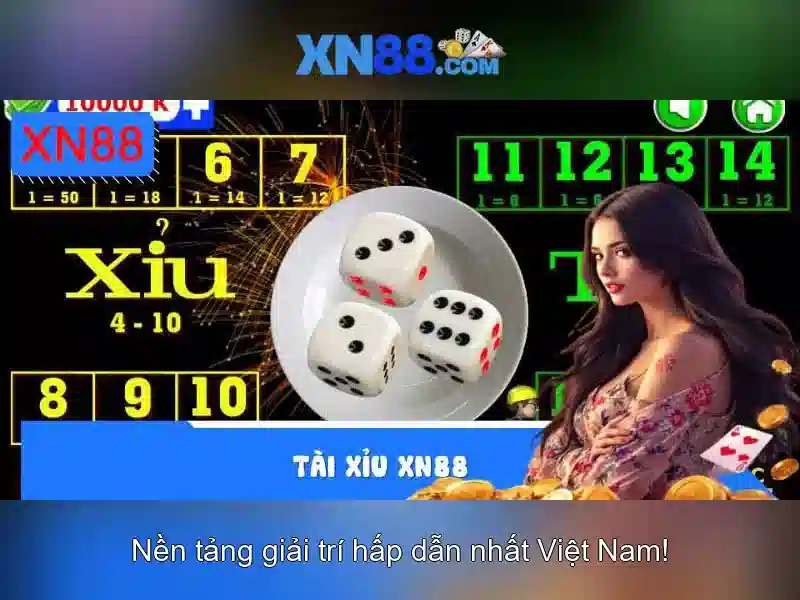 Trải nghiệm người dùng và phản hồi từ cộng đồng