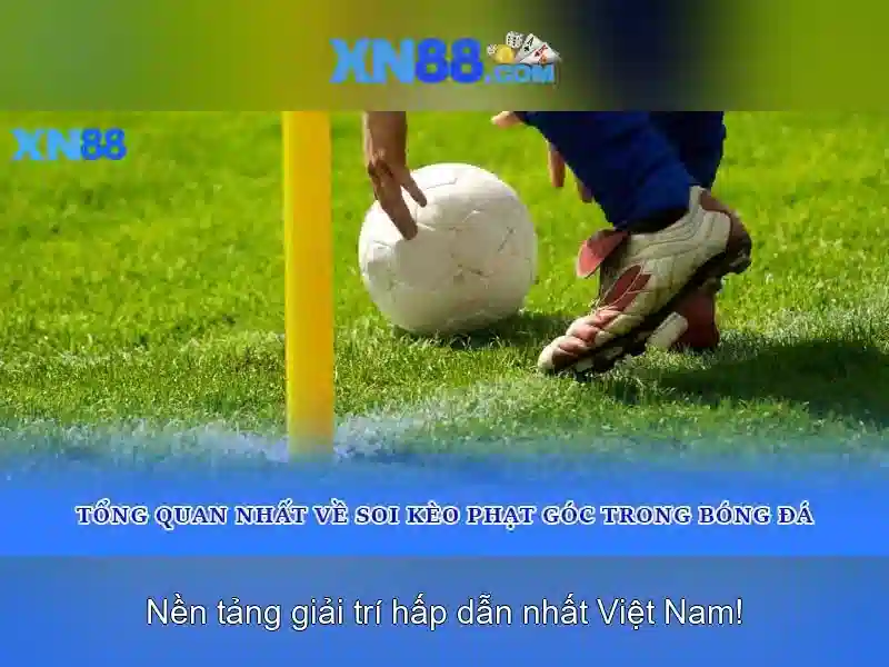 Các tính năng nổi bật