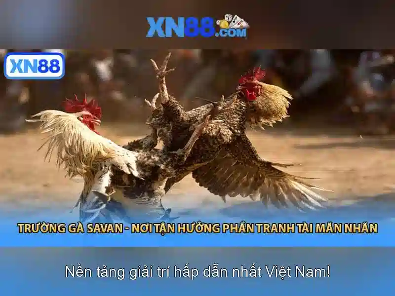 Giao diện và chức năng trên Xn88\n<p>Giao diện được thiết kế trực quan, tối ưu cho di động và máy tính bảng, với menu rõ ràng, thanh tìm kiếm nhanh và danh mục trò chơi phong phú.</p>\n<h>An toàn và bảo mật tại Xn88</h>\n<p>Xn88 áp dụng mã hóa SSL, xác thực hai yếu tố và các chính sách riêng tư nghiêm ngặt để bảo vệ thông tin người chơi và giao dịch.</p>\n<p>Người dùng có thể liên hệ với bộ phận hỗ trợ 24/7 để giải đáp thắc mắc và nhận trợ giúp nhanh chóng.</p>