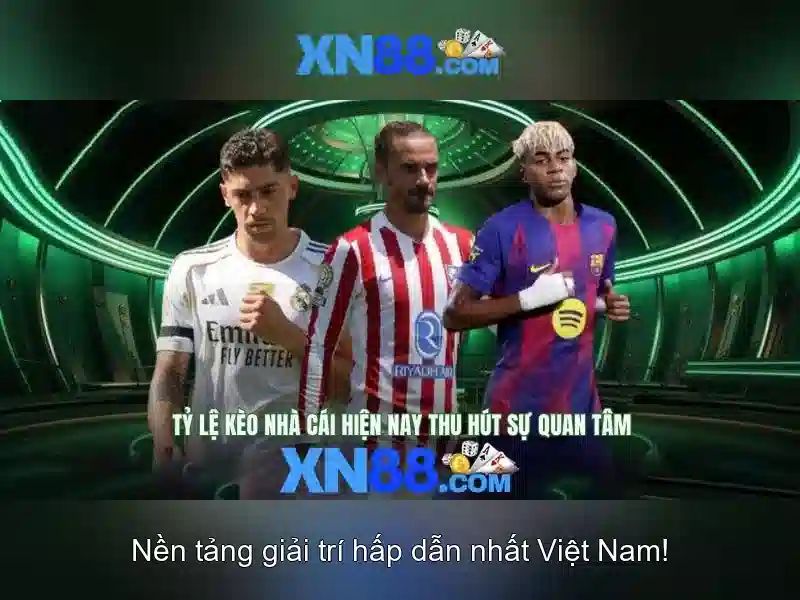 Tương lai phát triển và tầm nhìn