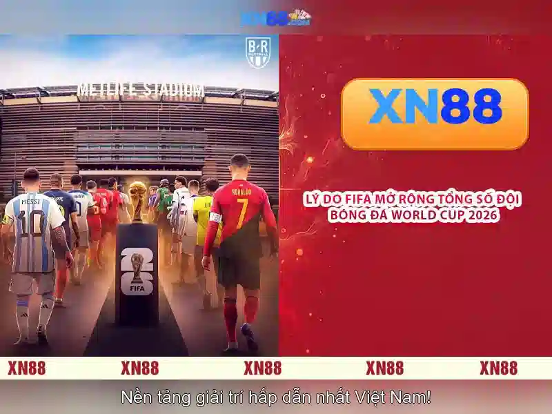 Cài đặt và trải nghiệm người dùng Cài đặt và trải nghiệm người dùng