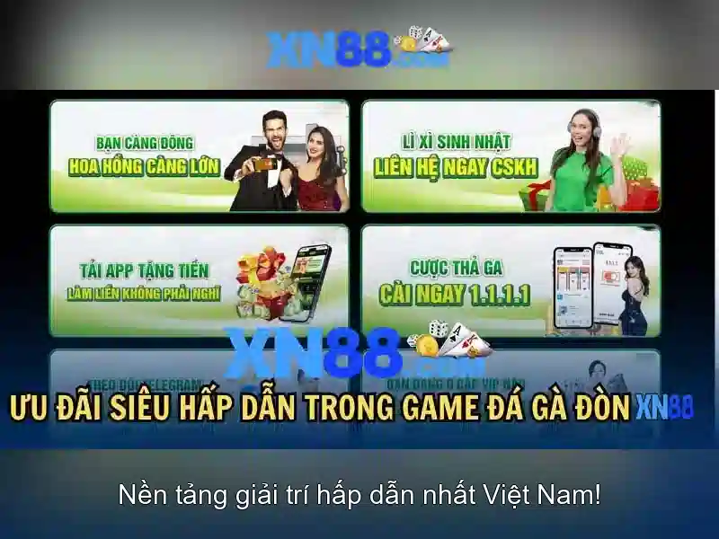 Xn88 — Giới thiệu