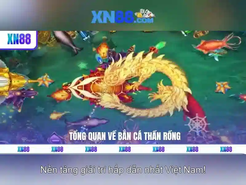 Nền tảng và công nghệ Nền tảng và công nghệ