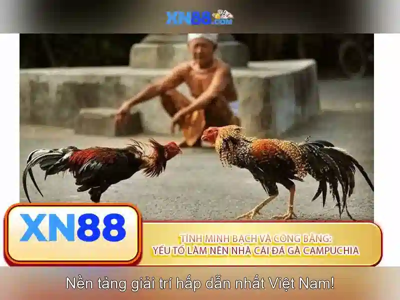 Xn88: Nền tảng giải trí trực tuyến và cộng đồng người dùng Go88