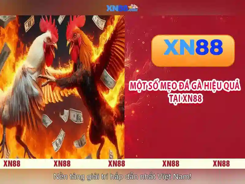 Trải nghiệm người dùng